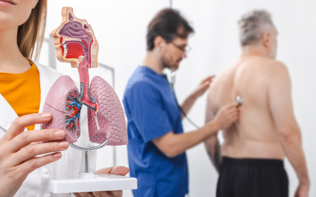 Back to the Basics – Airway Anatomy, Part 2