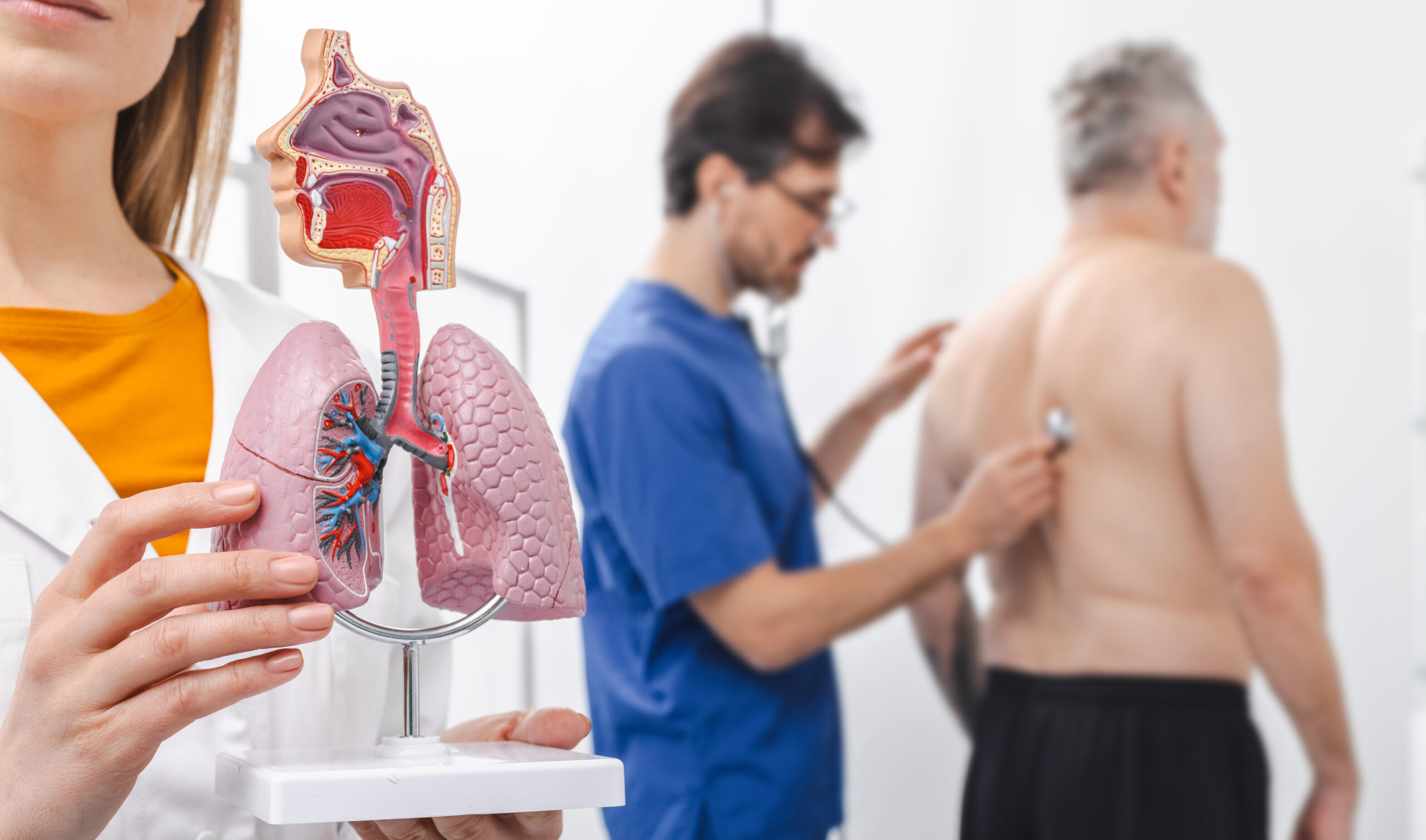 Healthcare professional holding lungs anatomical model while a doctor examines mature patient lung health using a stethoscope in a clinic